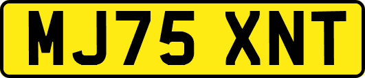 MJ75XNT