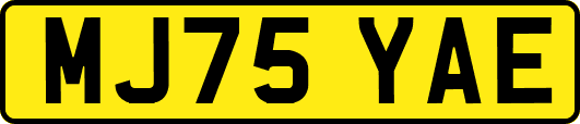 MJ75YAE