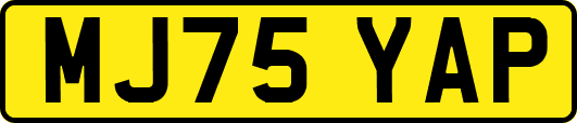 MJ75YAP