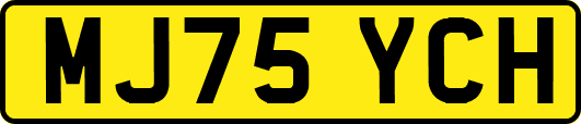 MJ75YCH