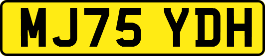 MJ75YDH