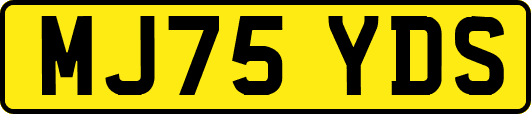 MJ75YDS
