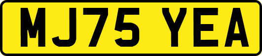 MJ75YEA
