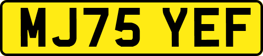 MJ75YEF