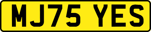 MJ75YES