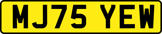 MJ75YEW