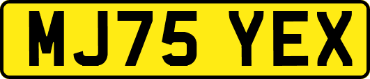 MJ75YEX