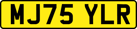 MJ75YLR