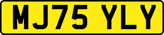 MJ75YLY