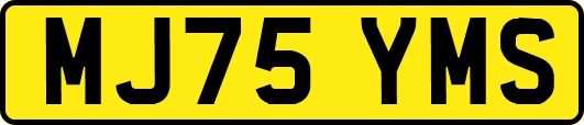 MJ75YMS