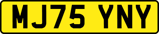 MJ75YNY