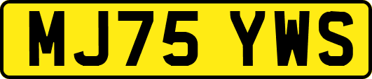 MJ75YWS