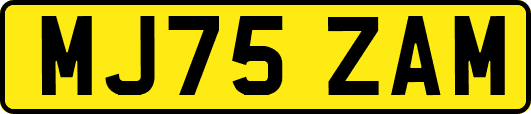 MJ75ZAM