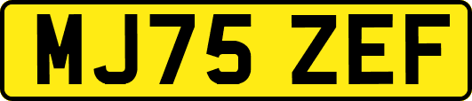 MJ75ZEF