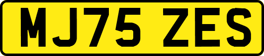 MJ75ZES