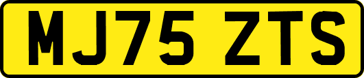 MJ75ZTS