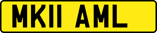 MK11AML