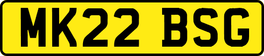 MK22BSG