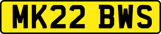 MK22BWS