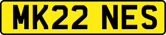 MK22NES