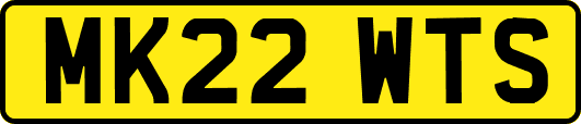 MK22WTS