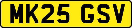 MK25GSV