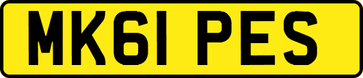 MK61PES