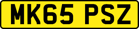 MK65PSZ