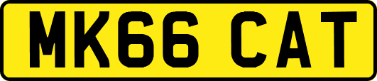 MK66CAT