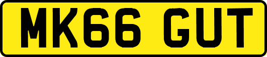 MK66GUT