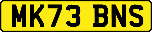 MK73BNS