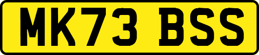 MK73BSS