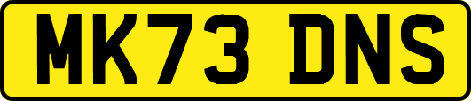 MK73DNS