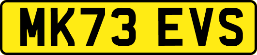 MK73EVS