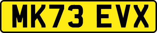 MK73EVX