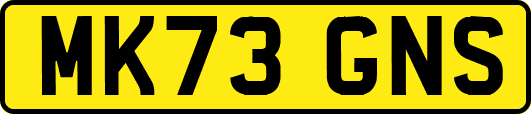 MK73GNS