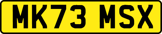 MK73MSX