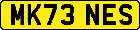 MK73NES