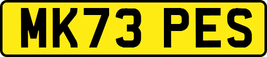 MK73PES