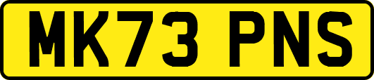 MK73PNS