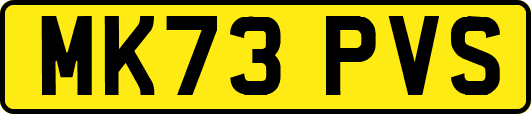 MK73PVS