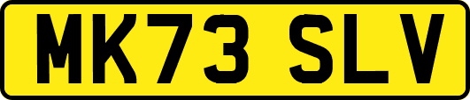 MK73SLV