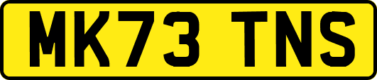 MK73TNS