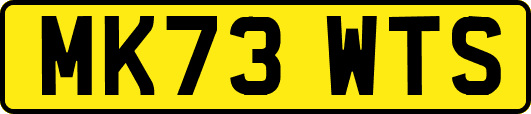MK73WTS