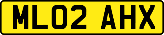 ML02AHX