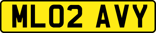 ML02AVY