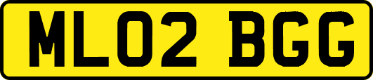 ML02BGG