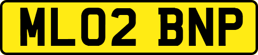 ML02BNP
