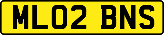 ML02BNS