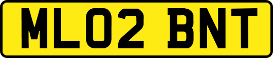 ML02BNT